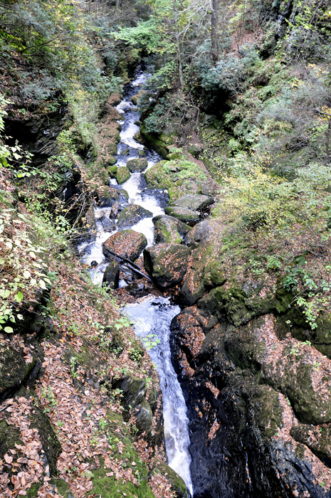 Big Bushkill Creek